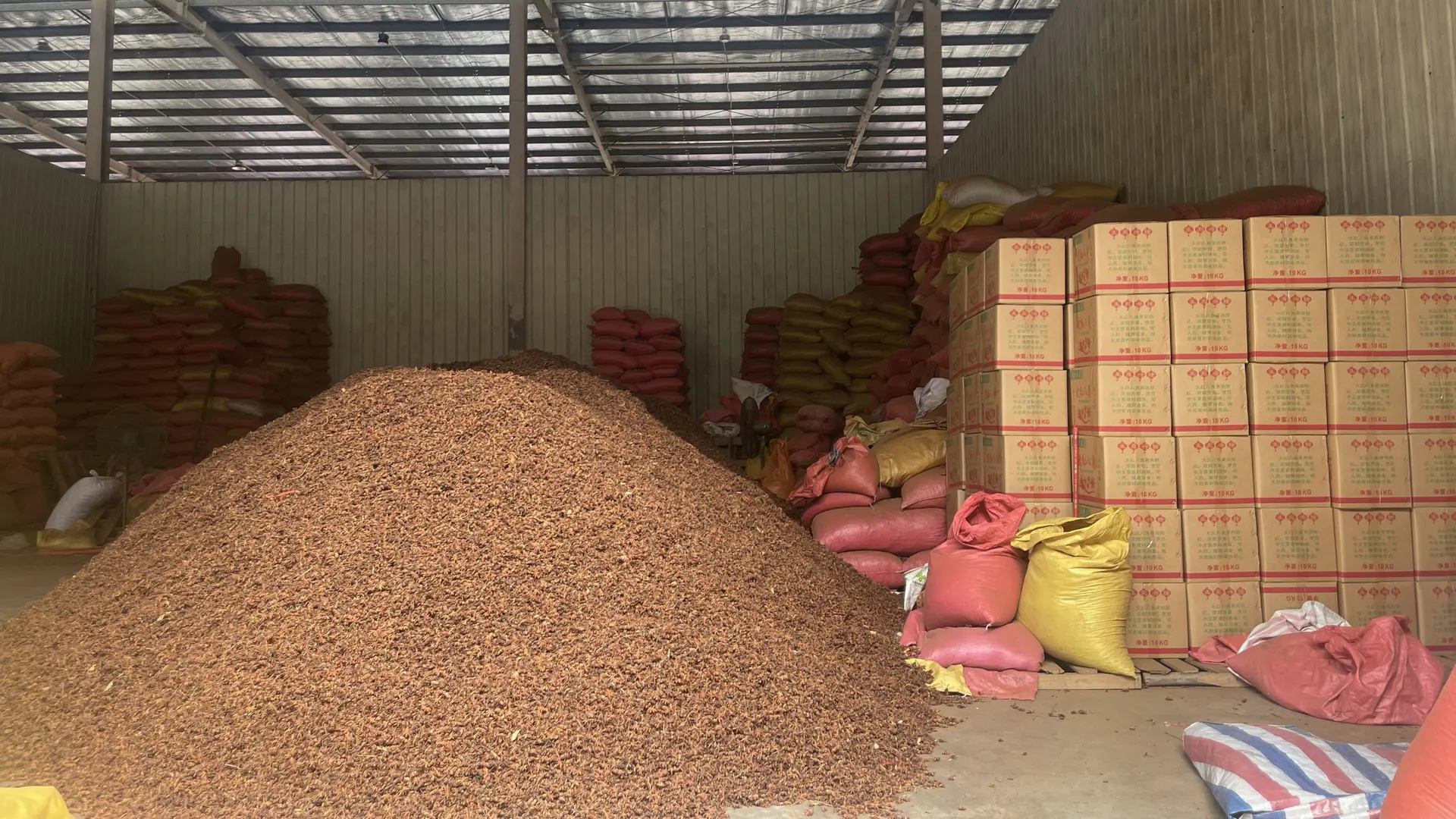 A large warehouse pile of whole star anise beside stacked export cartons