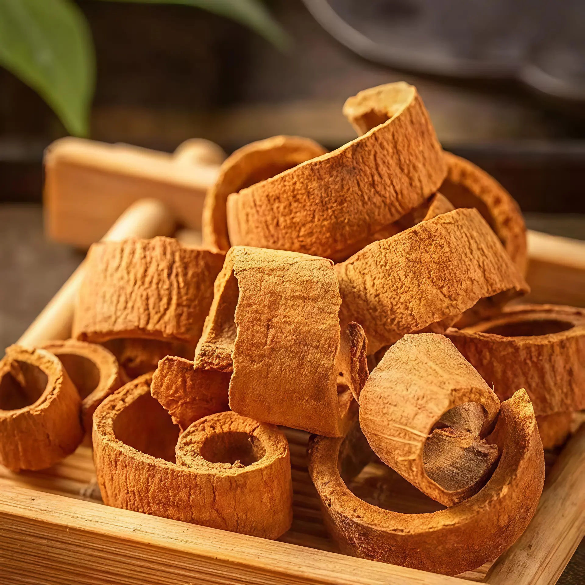 Cassia Broken / Chips