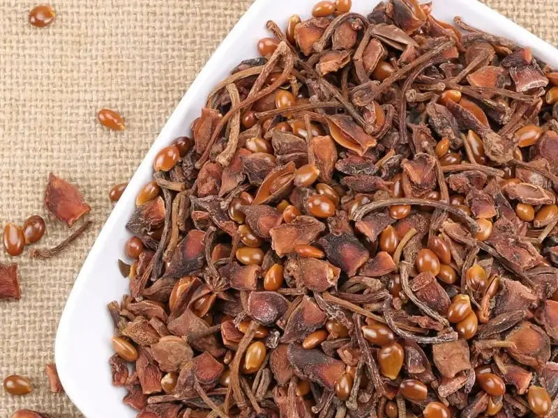Broken Star Anise
