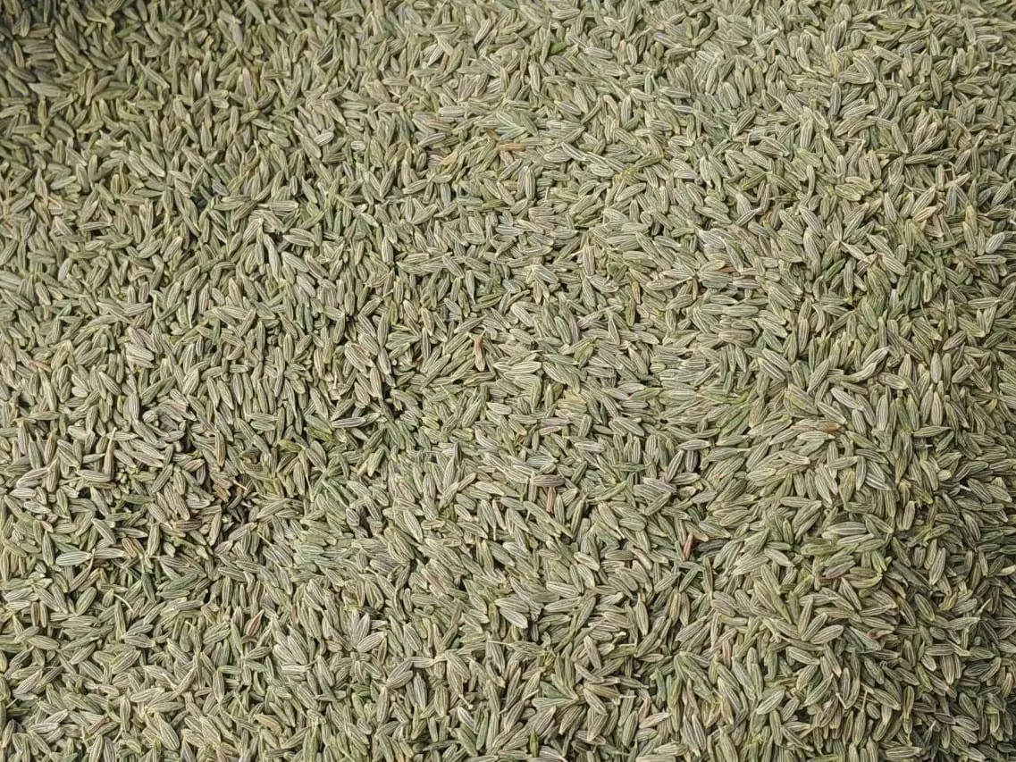 Xinjiang Cumin